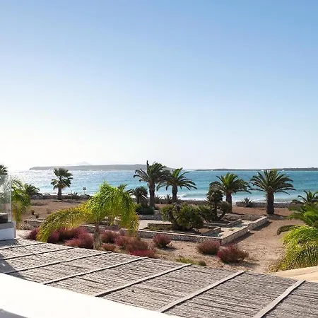 The View 3 *